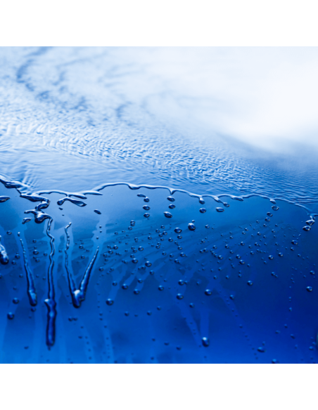 Wet Coat: Protettivo per Auto Spray - Maniac Line