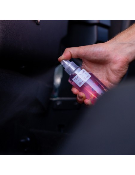 MistyScent Spray - Profumatore per auto 100ml | 6 Fragranze Esclusive