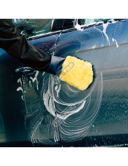 All Seasons guanto in lana impermeabile e professionale | Mafra Shop